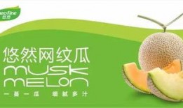 吃瓜悠闲音乐,悠闲旋律中的夏日时光