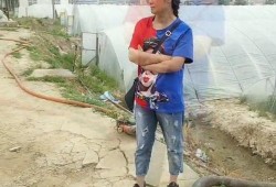 赣榆的吃瓜事件,一场引发热议的社区冲突纪实