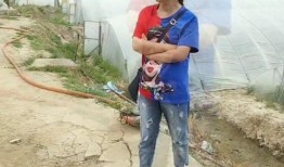 赣榆的吃瓜事件,一场引发热议的社区冲突纪实