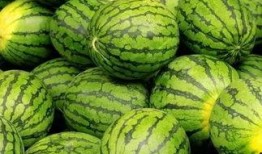 晚上吃西瓜还是吃网纹瓜,西瓜与网纹瓜，谁更胜一筹？
