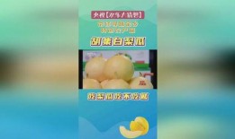 白梨瓜怎么吃,解锁夏日清新美味