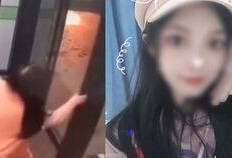 吃瓜看戏的小黑妞